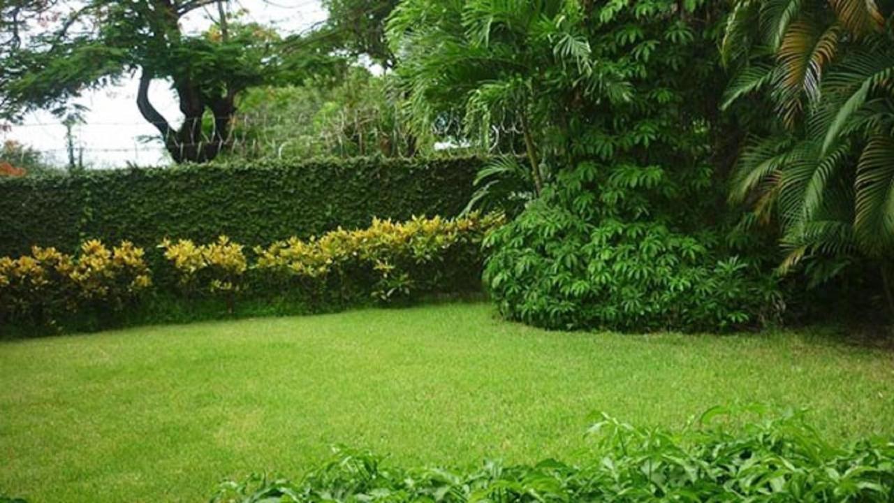 Hotel El Bramadero Liberia Zewnętrze zdjęcie